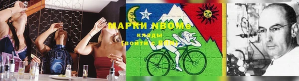 шишки Лабытнанги