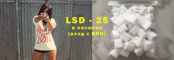 шишки Лабытнанги