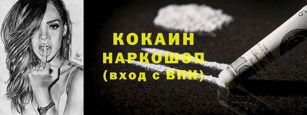 шишки Лабытнанги