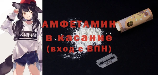 шишки Лабытнанги