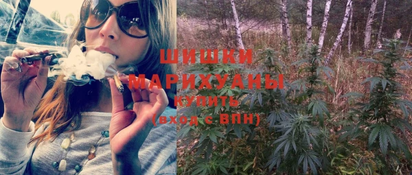 шишки Лабытнанги