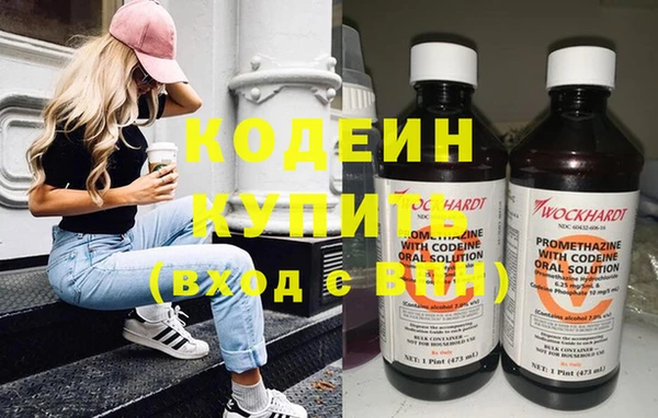 шишки Лабытнанги