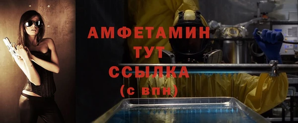 шишки Лабытнанги