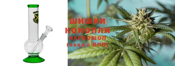 шишки Лабытнанги
