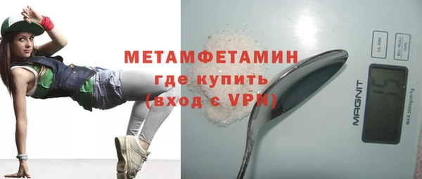 шишки Лабытнанги
