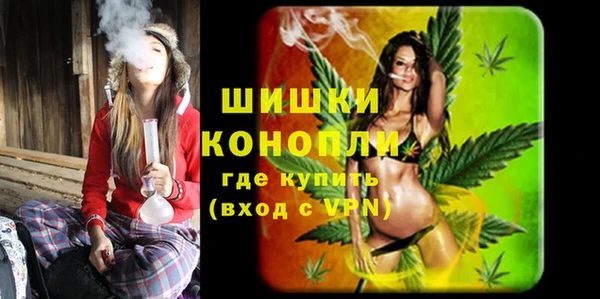 шишки Лабытнанги