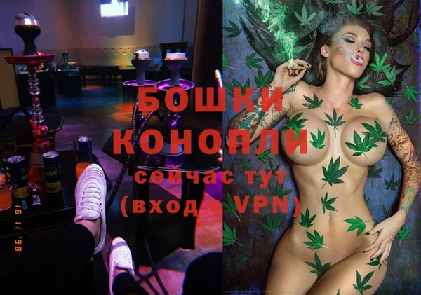 шишки Лабытнанги