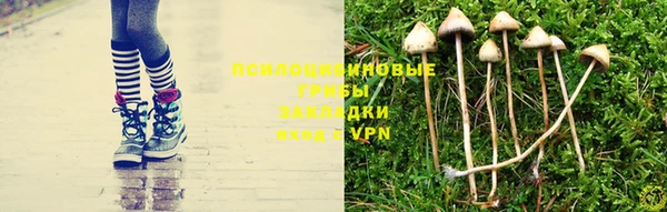 кокаин премиум Ладушкин