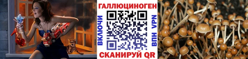 Псилоцибиновые грибы MAGIC MUSHROOMS  Купить где  Кириши 
